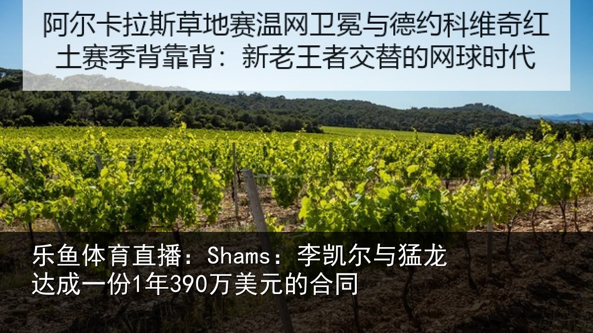 乐鱼体育直播：Shams：李凯尔与猛龙达成一份1年390万美元的合同