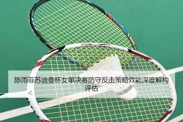 chen-yu-fei-su-di-man-bei-nv-dan-jue-sai-fang-shou-fan-ji-ce-lve-xiao-neng-shen-du-jie-gou-ping-gu-3-399.jpg