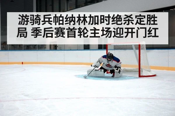 ice hockey goaltender save